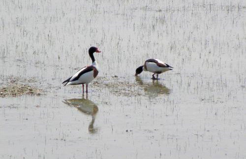 Agriturismo Ca' Bonelli 1924 - Foto 55