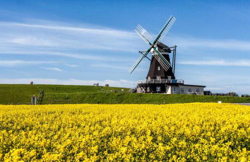 Gud Jard Lodge Nr 30 - Design-Ferienhaus mit exklusiver Ausstattung - Foto 29