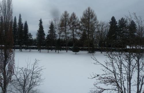 Appartement-Oberwiesenhof - Foto 13