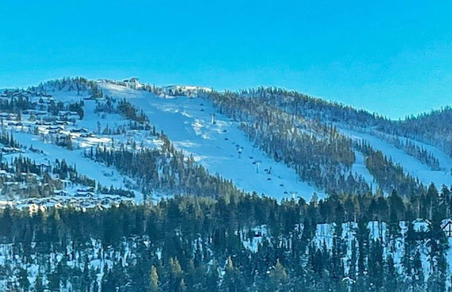 7 Person Holiday Home in Nesbyen - Foto 12