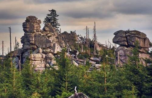 Cozy I Blockhütte im Nationalpark I Ferienwohnung - Foto 33