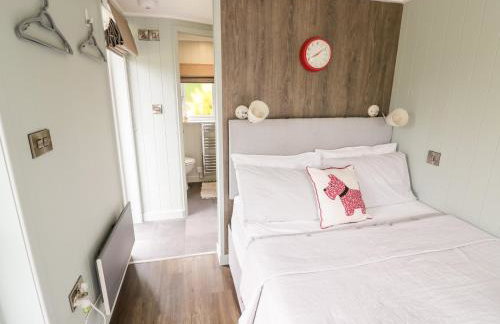 Hydrangea - Photo 11