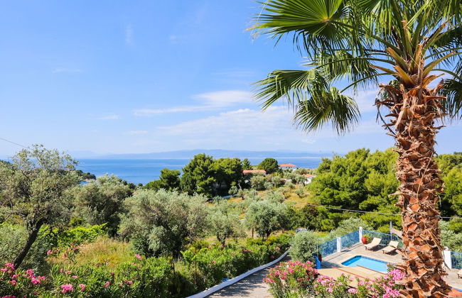 Angelina Studios - Foto 21