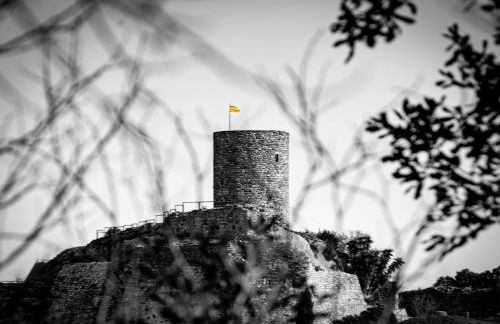 Laroque Gite Modern New Stylish - Photo 23