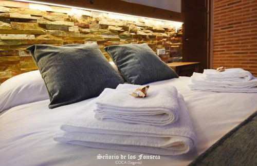 Señorío de los Fonseca - Foto 46