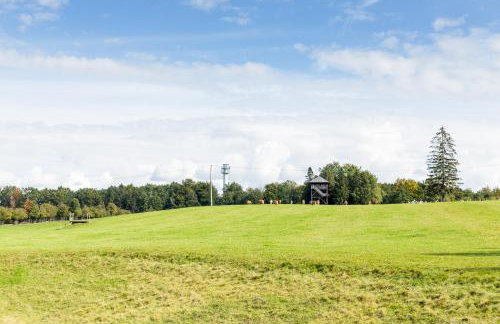 Dylewianka - Foto 53