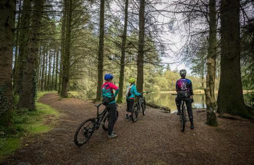 Tollymore Forest family house Mourne Mountains - Foto 41