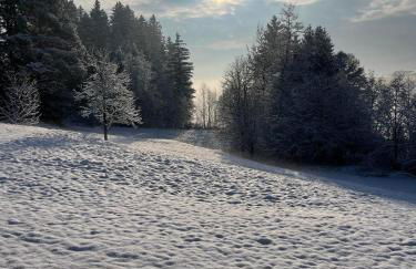 Häusle in der Tannenmühle - Foto 36