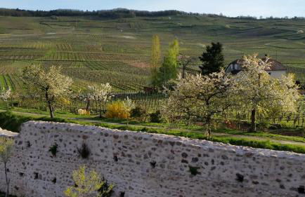 Appartement Côté Vignes avec Terrasse et Parking - Foto 19