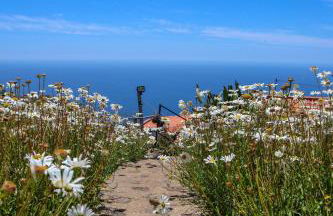 Casas Tipicas Candelaria Tabua - Photo 26