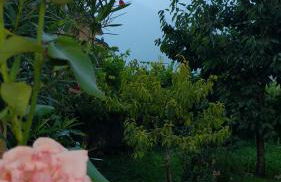 Appartment Lodged Mamma Maria - Foto 29