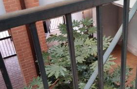 AMA cityhouse - Foto 9