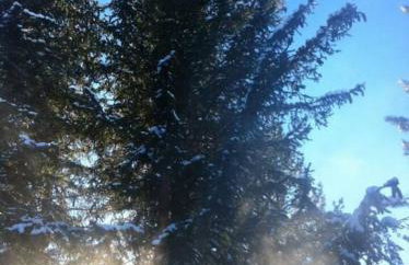 Dont miss the Main level Cozy Winter Retreat - Photo 28