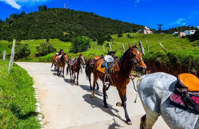 Descubra el Valle del Cocora y Paseo a Caballo en Salento - Excursión Privada de Día Completo - Foto 2