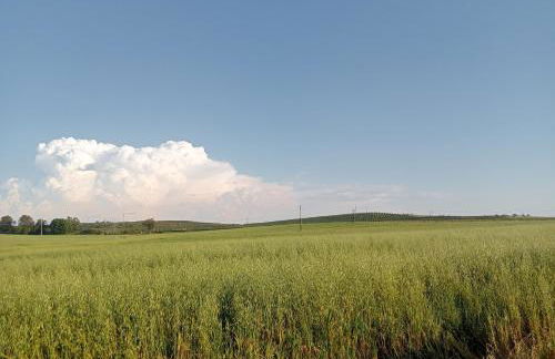 Ferreira Alentejo Terrace Villa - Foto 75