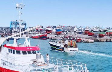 L'Escale Bretonne 4 personnes, proche mer, jardin privé clos et indépendant, appartement en rez de chaussé - Foto 27