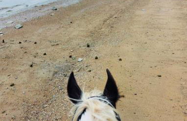 Zum Seemann - Foto 23