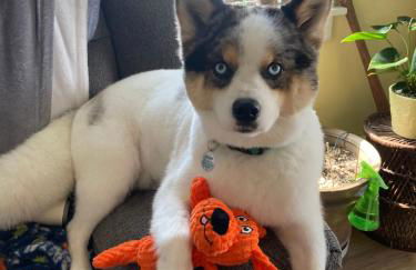 BEACH COTTAGE 2nd HOUSE FROM BEACH - Foto 22