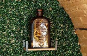 L'Oasis des Coccinelles - Foto 66