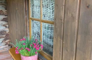 Ferienhaus Irene - Photo 27