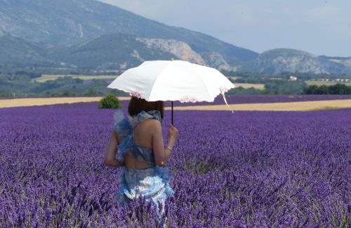 Pigeonnier des Banons - Foto 21