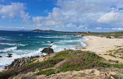 La Tortuga - Foto 15