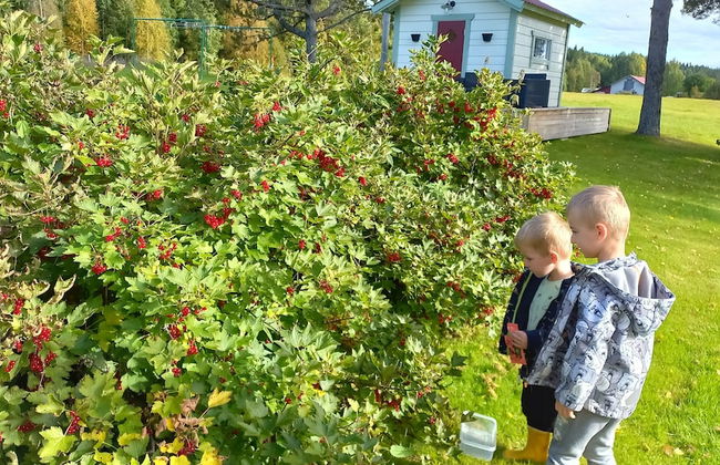 Forest Family Home - Foto 80