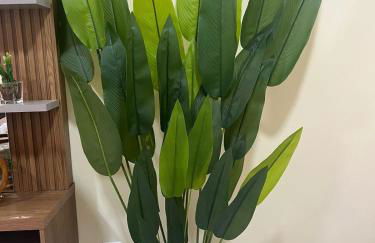 casa em Brotas 08 - Foto 14