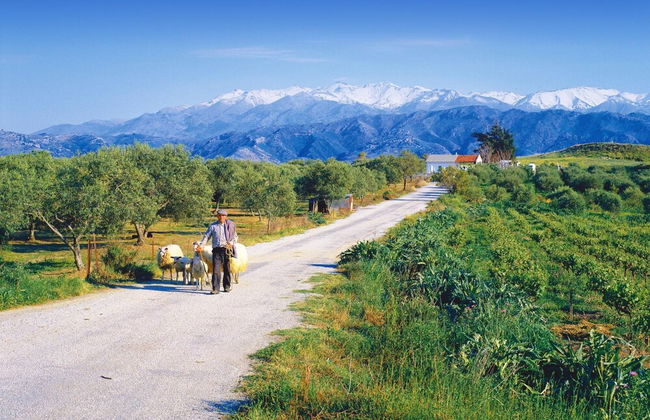 Villa Vereniki in Apokoronos - Foto 5