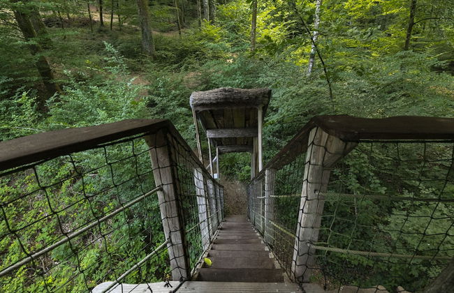 L'Arbre à Cabane - Foto 27