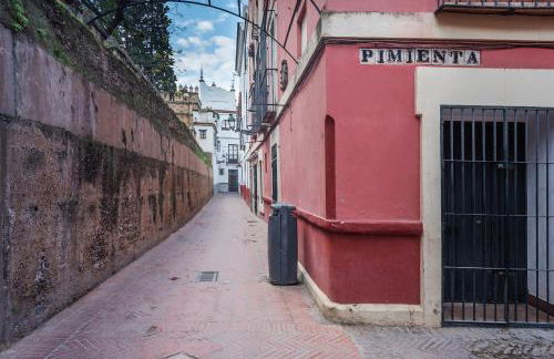 Apartamento Aires de Santa Cruz - Photo 26