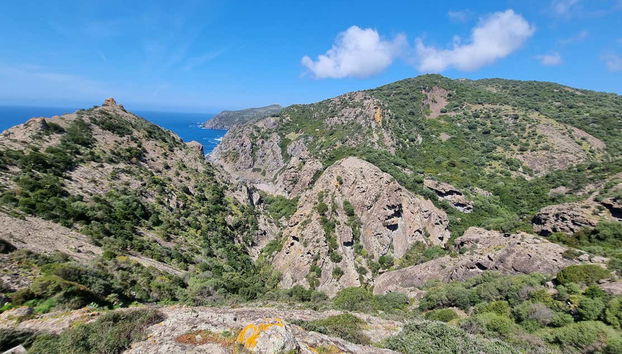 Scorcio del sentiero di Capo Marrargiu