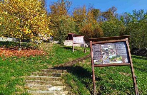 Vila Trnoružica - Foto 62