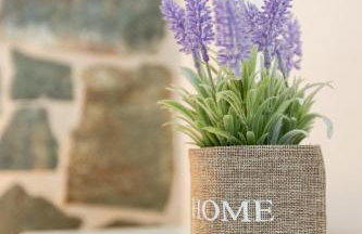 Αnastasia apartments - Foto 29