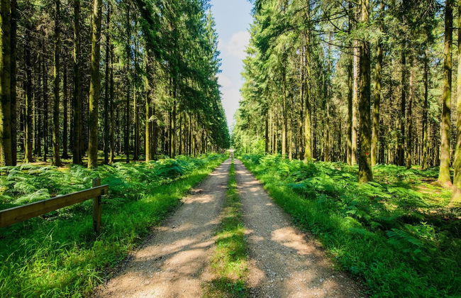 Welcoming Holiday Home in Vresse-sur-semois With Terrace - Photo 37