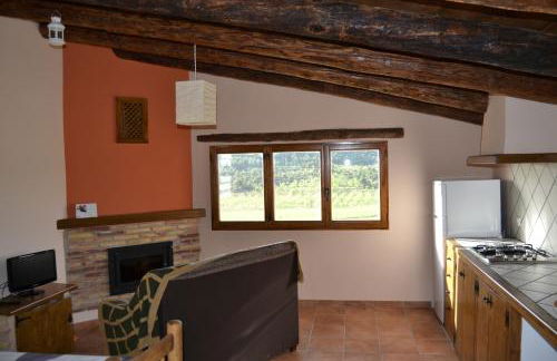 Mas de Salvador - Foto 58