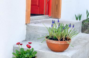 Zita Ferienhäuser - Ferienhaus Feni - Foto 27