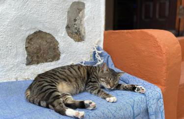 Casa Panama - Foto 7