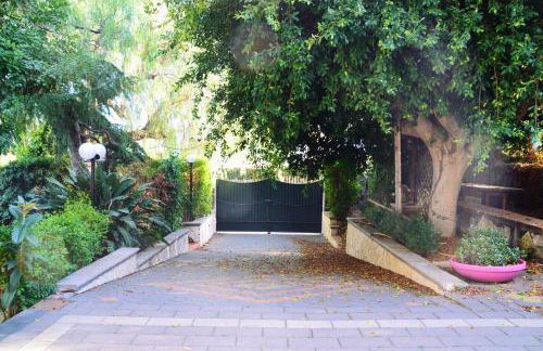 Angelo Delle Aci - Foto 35