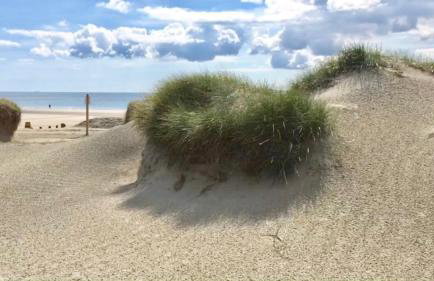 The Clock House - Foto 10