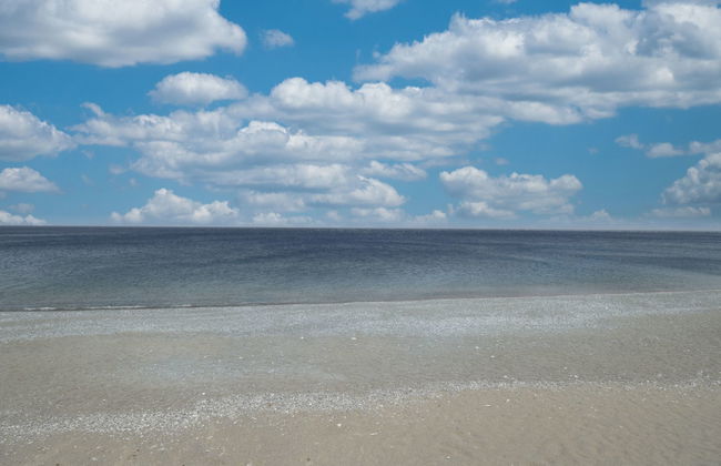 Colori di Sicilia - Foto 35