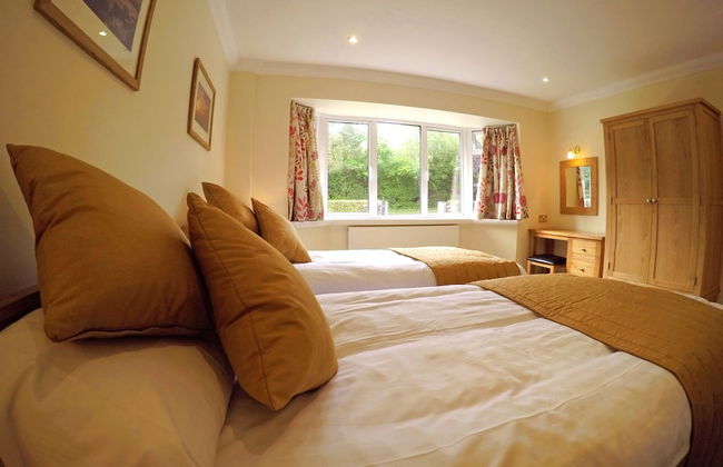 The Dorset Resort - Foto 6