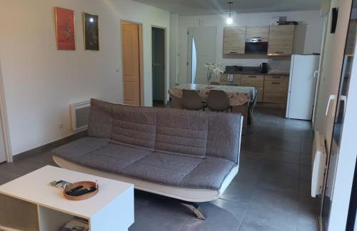 Maison individuelle neuve plein pied avec terrasse et jardin clos 10minutes a pied de la plage - Foto 22