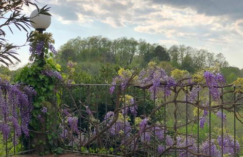 La casa nel bosco - Foto 31