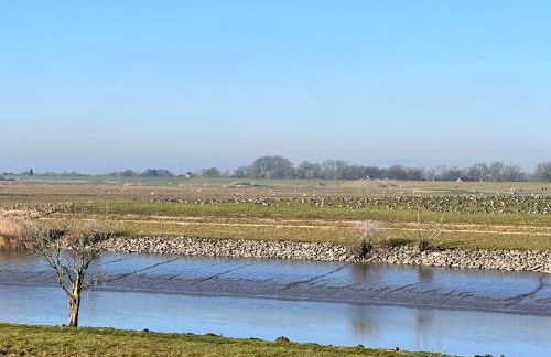 Reetdachkate am Deich - Photo 50