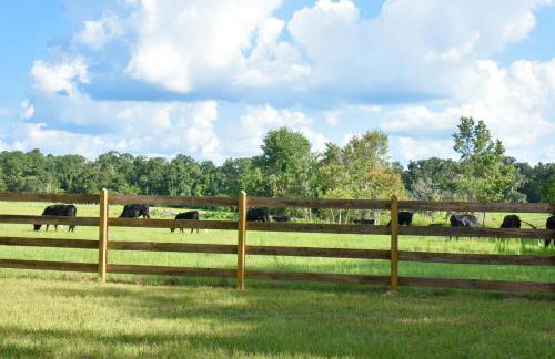 Luxurious Farm House 63 Acres - Foto 23