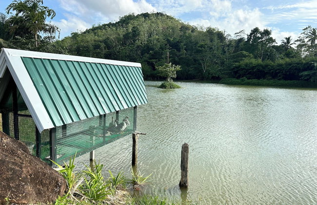 Heaven By The Lake - Foto 34