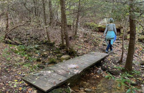 Love Ridge Mountain Lodging - Foto 26