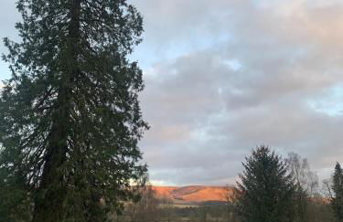 The Woodhouse Cabin 8 - Foto 13