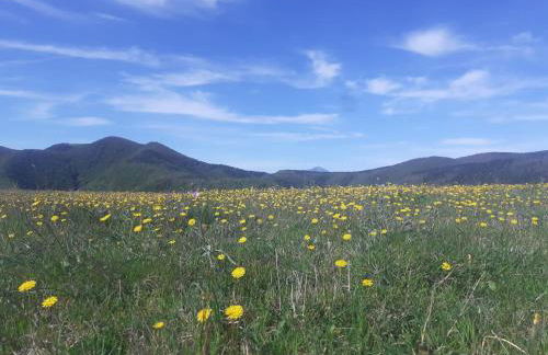 Agriturismo Becerca Vegan - Foto 7